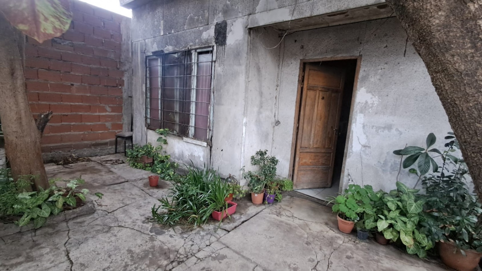 INMUEBLE SOBRE LOTE (8,66X53,69): LOCAL CON TERRAZA + 3 VIVIENDAS 3 AMB C/ PATIO REF. 917